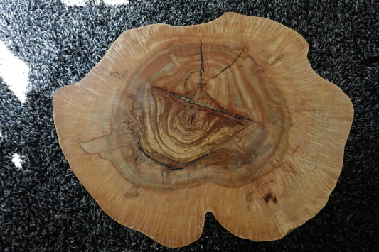 Indiana Maple Cookie Coffee Table