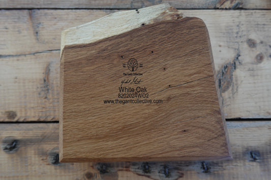 Indiana White Oak Cigar Ashtray
