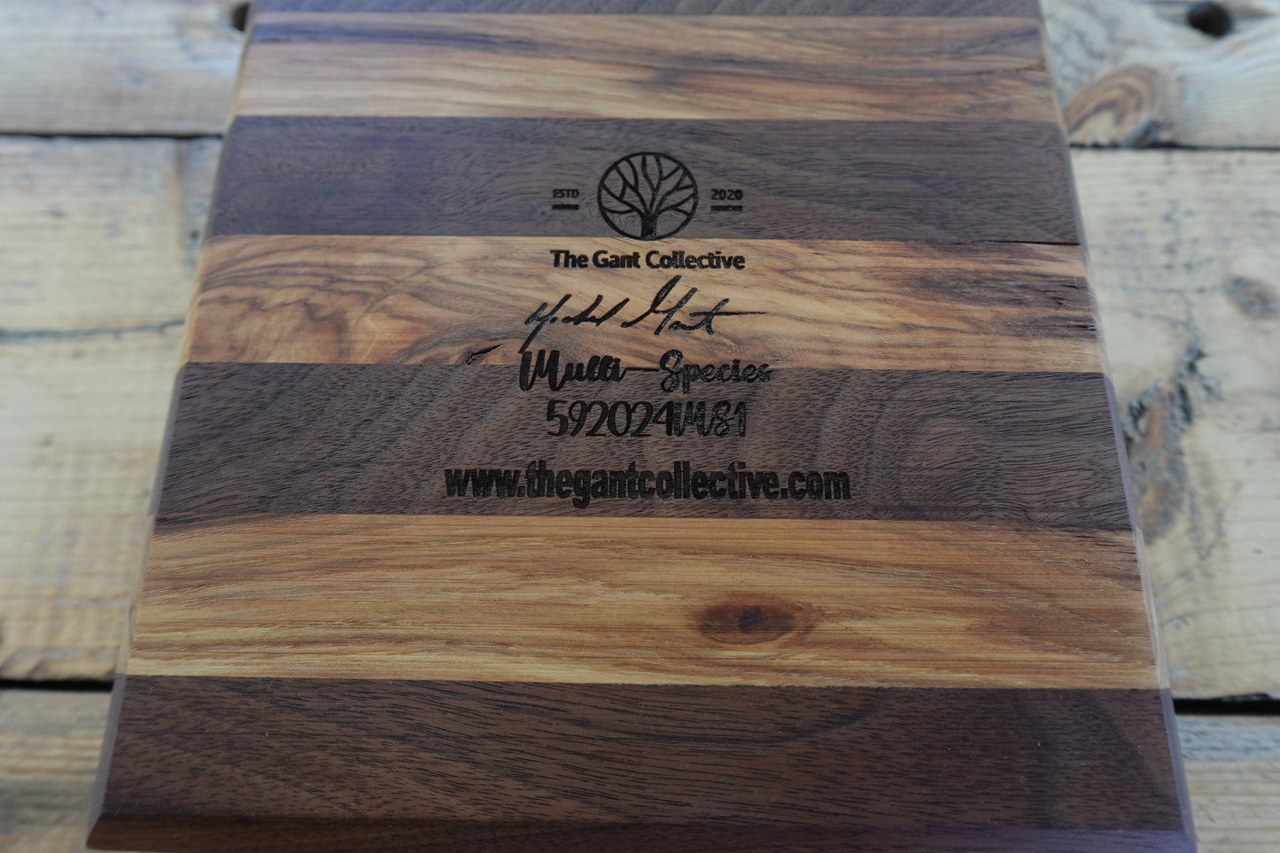 Multiple Indiana Species Four Slot Cigar Ashtray