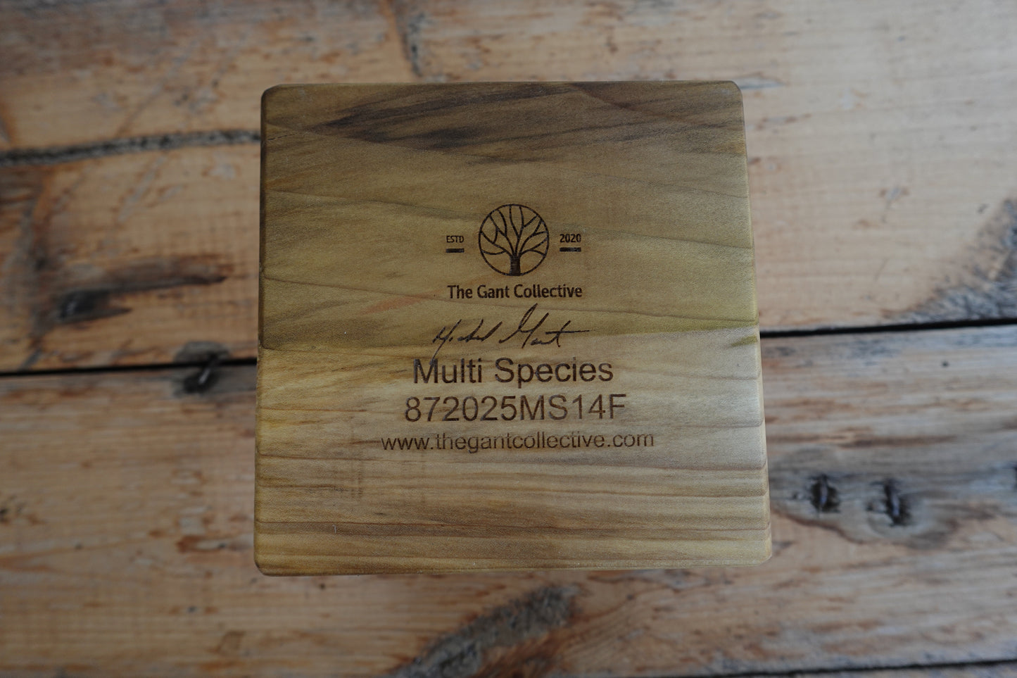 872025MS14F Multi_-Indiana Species Deep Tray Cigar Ashtray