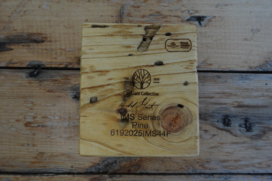 Indianapolis Motor Speedway Pine Cigar Ashtray 6192025IMS44F