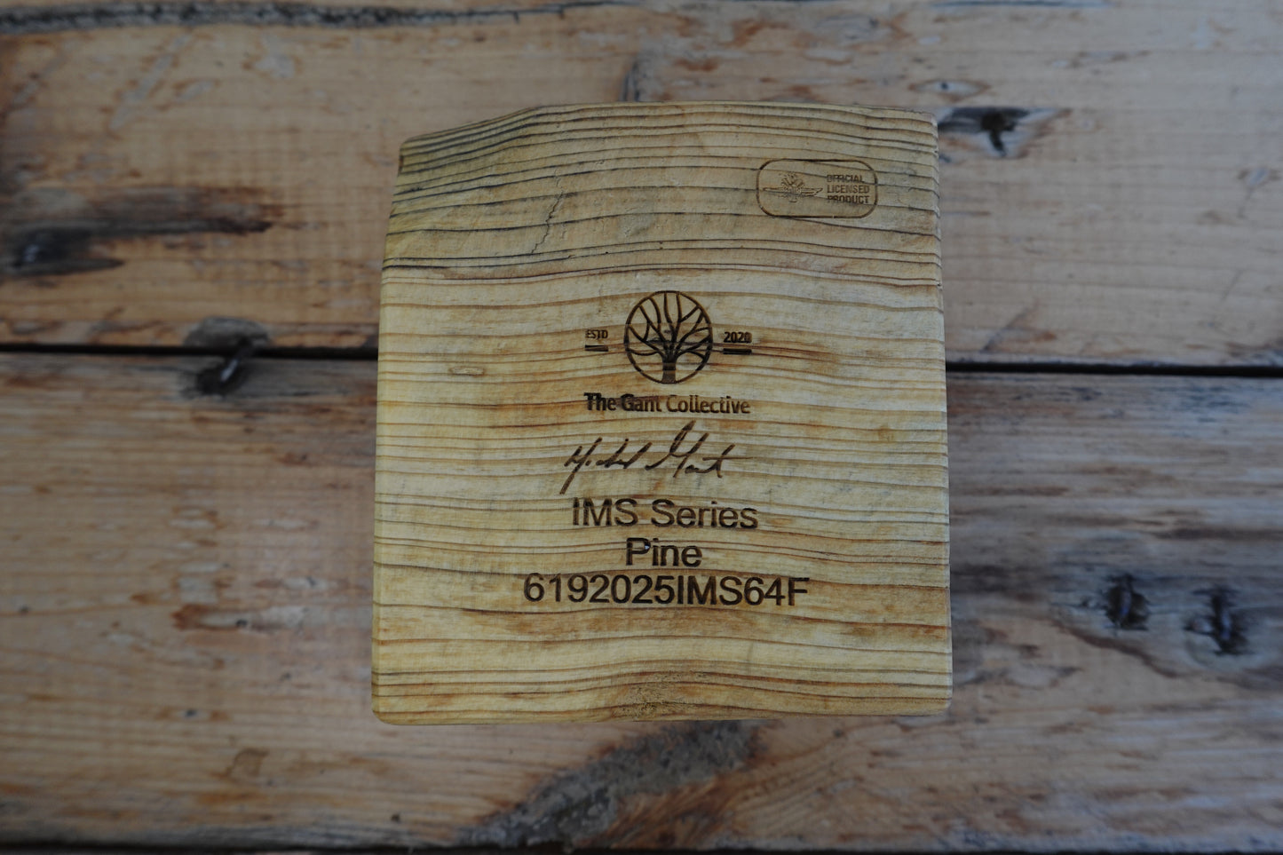 Indianapolis Motor Speedway Cigar Ashtray 6192025IMS64F