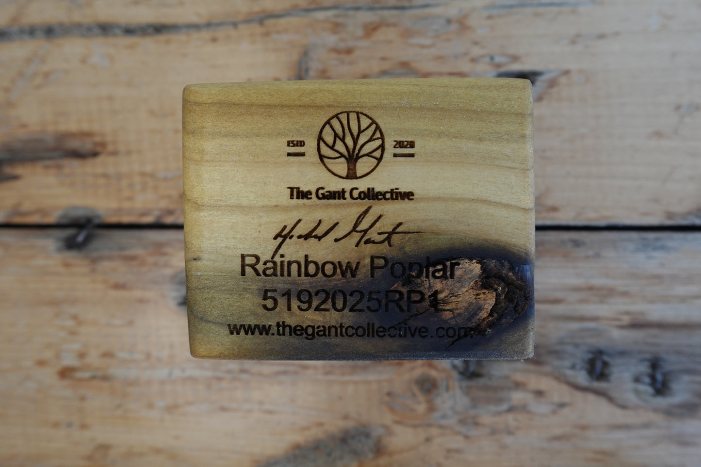 Indiana Poplar One Finger Cigar Ashtray 5192025RP1